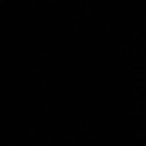 Meet your Posher, Shruti